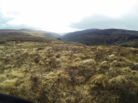 Training for Maamturks Challenge Week 7 Camaderry-Lugduff-Avonbeg-Caimin-Table Track-Conavalla-Lugduff Ridge-Camaderry