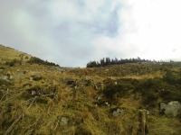 Training for Maamturks Challenge Week 7 Camaderry-Lugduff-Avonbeg-Caimin-Table Track-Conavalla-Lugduff Ridge-Camaderry
