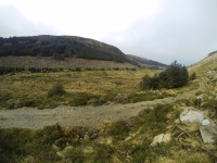 Training for Maamturks Challenge Week 7 Camaderry-Lugduff-Avonbeg-Caimin-Table Track-Conavalla-Lugduff Ridge-Camaderry