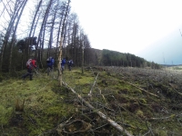Training for Maamturks Challenge Week 7 Camaderry-Lugduff-Avonbeg-Caimin-Table Track-Conavalla-Lugduff Ridge-Camaderry