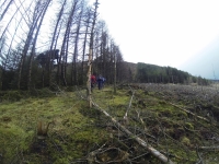 Training for Maamturks Challenge Week 7 Camaderry-Lugduff-Avonbeg-Caimin-Table Track-Conavalla-Lugduff Ridge-Camaderry