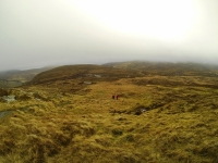 Training for Maamturks Challenge Week 7 Camaderry-Lugduff-Avonbeg-Caimin-Table Track-Conavalla-Lugduff Ridge-Camaderry