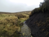 Training for Maamturks Challenge Week 7 Camaderry-Lugduff-Avonbeg-Caimin-Table Track-Conavalla-Lugduff Ridge-Camaderry