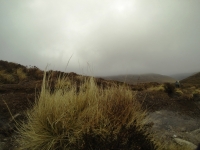 Training for Maamturks Challenge Week 7 Camaderry-Lugduff-Avonbeg-Caimin-Table Track-Conavalla-Lugduff Ridge-Camaderry