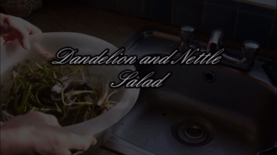 Dandelion and Nettle Salad