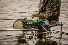 Competition The Biggest Fish Tournament 2014 Photos part1