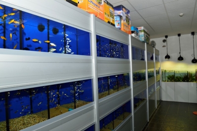 Aquatics Shop Bowwow in Dublin & Online