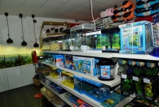 Aquatics Shop Bowwow in Dublin & Online
