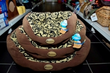 Cats Shop Bowwow in Dublin & Online