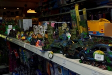 Reptile Shop Bowwow in Dublin & Online