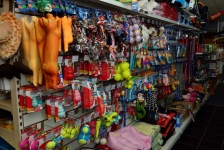 Reptile Shop Bowwow in Dublin & Online