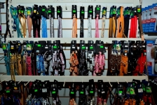 Reptile Shop Bowwow in Dublin & Online