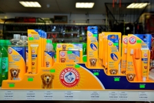 Wild Bird Shop Bowwow in Dublin & Online