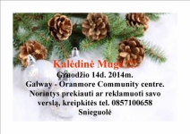 Kalėdinė mugė Galway 2014