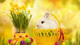 Happy Easter to all 1000sADS users and friends