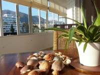 Apartment to let in Fuengirola, Malaga, Spain.