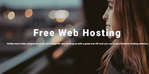 Free Web Hosting and an Achievable Rate for Web Design and Search Engine Marketing with NO Extra Cost