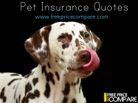 Compare Pet Insurance in UK
