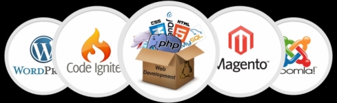 We provide Web Design & Development for local business in Ireland