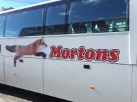 Mini buses for hire in Dublin - Mortons Coaches Ltd