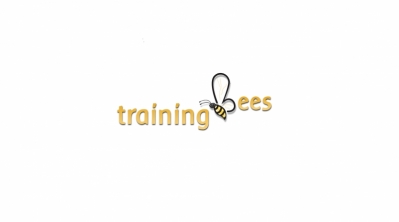 Hadoop online training @ trainingbees.com