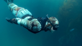 Shop on Line SPEARFISHING FREEDIVING SNORKELING SCUBADIVING EQUIPMENTS in Ireland