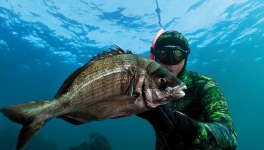Salvimar Products Spearfishing gear in Ireland
