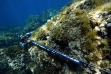 Largest spearfishing and freediving stock in Ireland