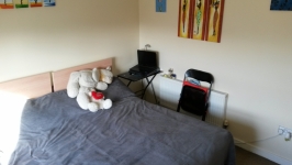 double room for rent