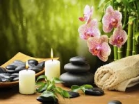 Leading professional massage services in Dublin