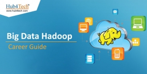 Get Hadoop live online training and free tutorials by hub4Tech