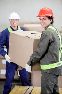 40 euro -Manual Handling courses