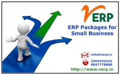 ERP company website
