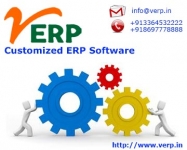 ERP Consultant, Consultancy Microfinance Software