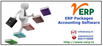 ERP Consultant, Consultancy Microfinance Software