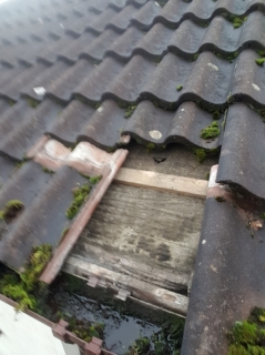 ROOF FIX ROOFING AND GUTTERING