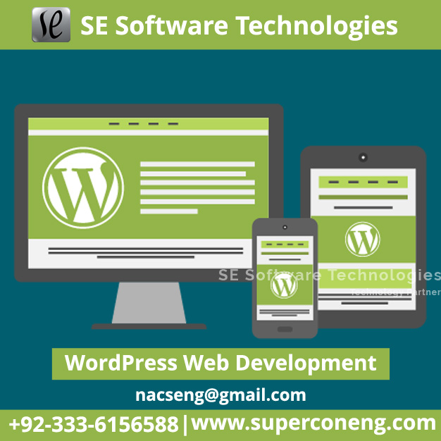 Website Making Services By SE Software Technologies 1000sADS