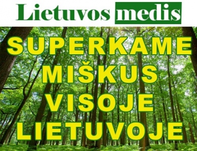 "Lietuvos medis” brangiai perka miska visoje Lietuvoje
