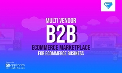 Multi Vendor B2B Ecommerce Marketplace for Ecommerce Business