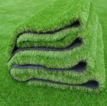 Natural Grass & Lawn Carpet Grass in Dubai