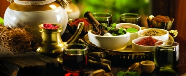 best packages for Ayurveda centers, Yoga retreat and Ayurvedict treatment