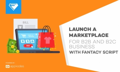 Launch a marketplace for b2b and b2c business with fantacy script now on 50% off