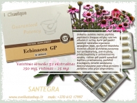Echinacea GP 30 kaps - SANTEGRA