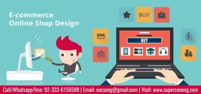Professional eCommerce Web Designing Service