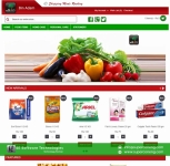 Affordable eCommerce Web Design Service