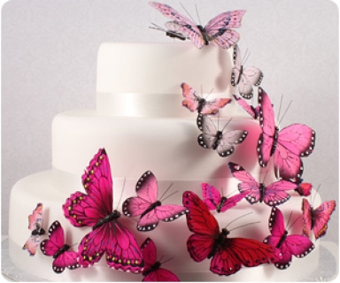 Cake Decorating Supplies - decorate cakes in any style!
