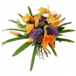 Send surprise flower from best Florist in Dublin 1 | Order now – (01) 8303333