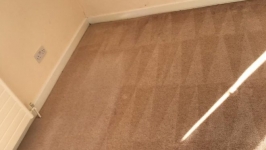 Eco Carpet Cleaning Services