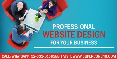 Professional Business Website Designing Service