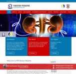 Professional & Attractive Website Design Service